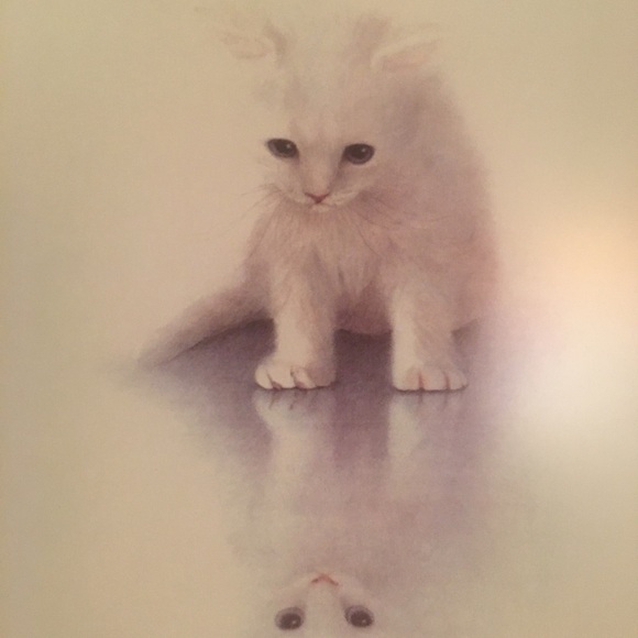 Framed Kitten Reflection Print - Picture 2 of 4